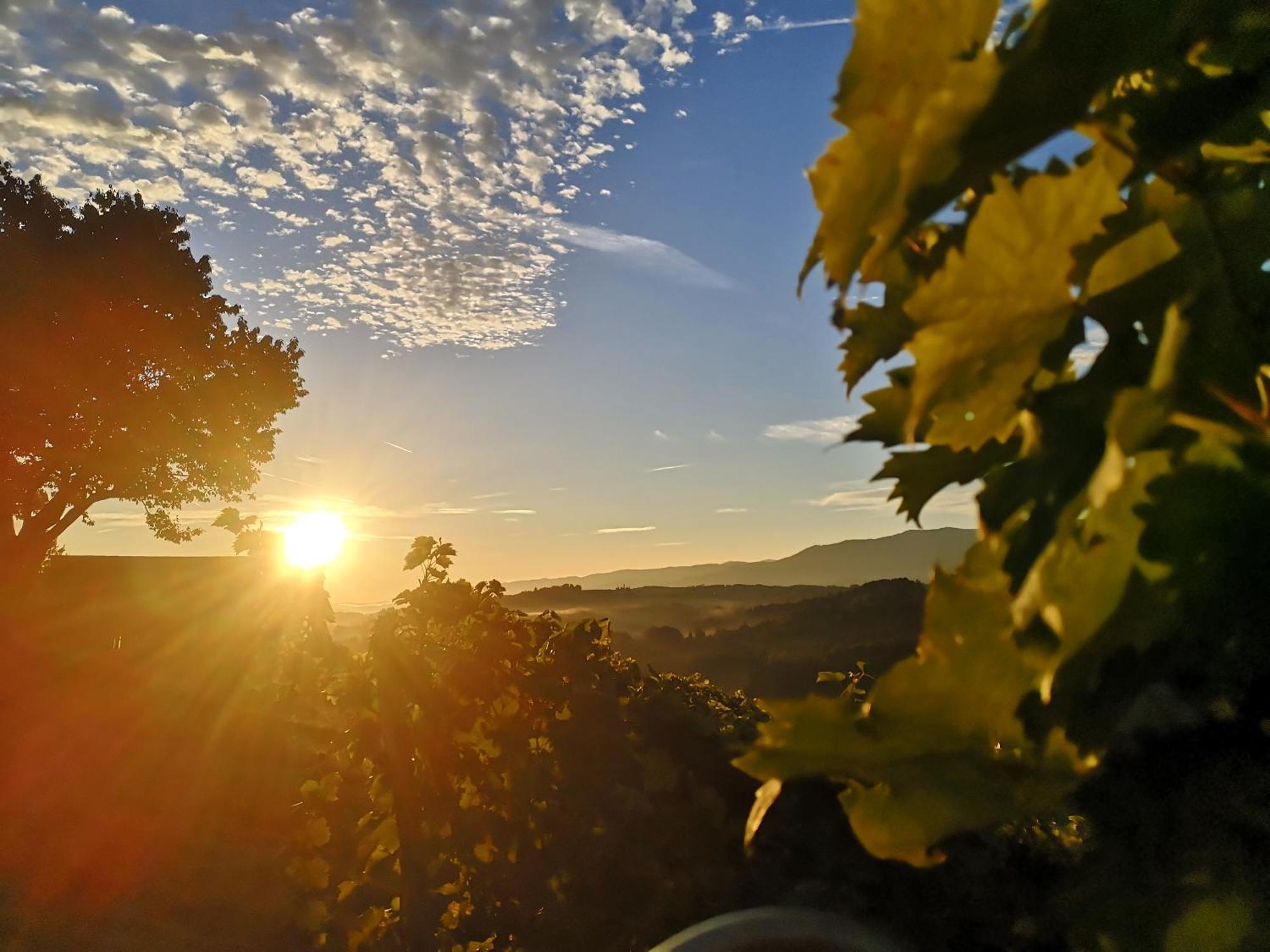 Peiserhof Ferien.Wein.Gut Suedsteiermark Villa Wies Bagian luar foto